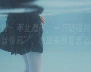 紧急企划 – 不止是车，一只喵喵梓和她的“白丝特辑”，私房美图直击心底～